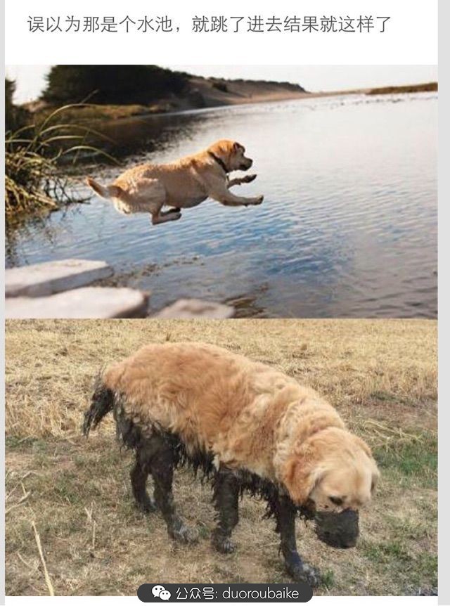 当多肉普货养出颜值，让所谓的韩货欧货都羞涩万分！