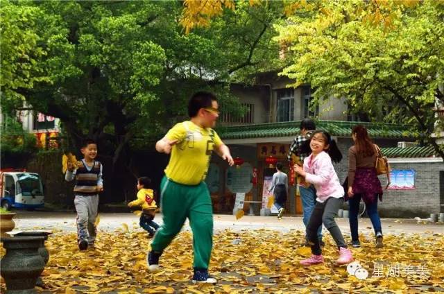 广东肇庆风水大势分析,肇庆风水大揭秘