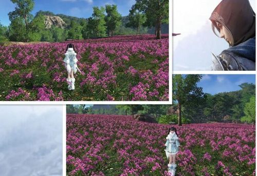 天涯明月刀节日福利,天涯明月刀通用礼包大全