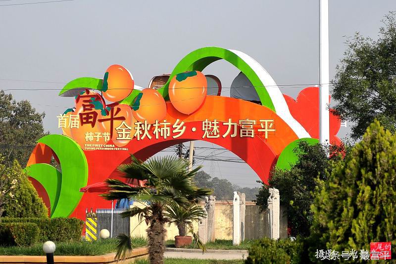 富平富四方醋饮咋样,富平县曹村镇柿子行情