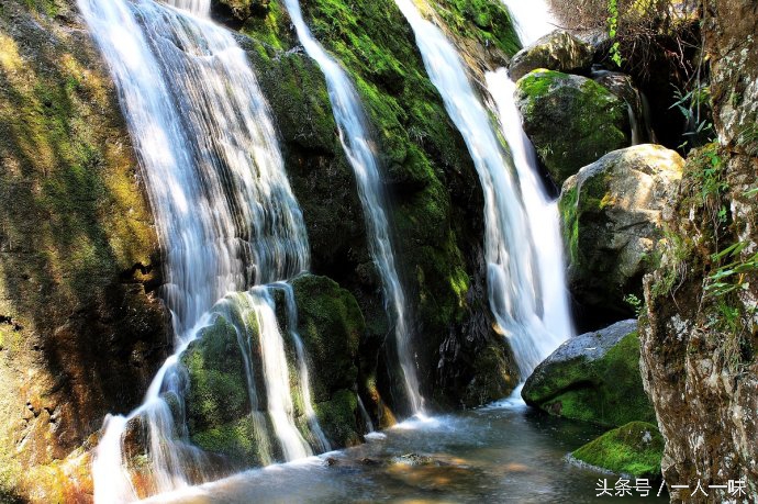 天目山必去八个景点,天目山必去三大景点