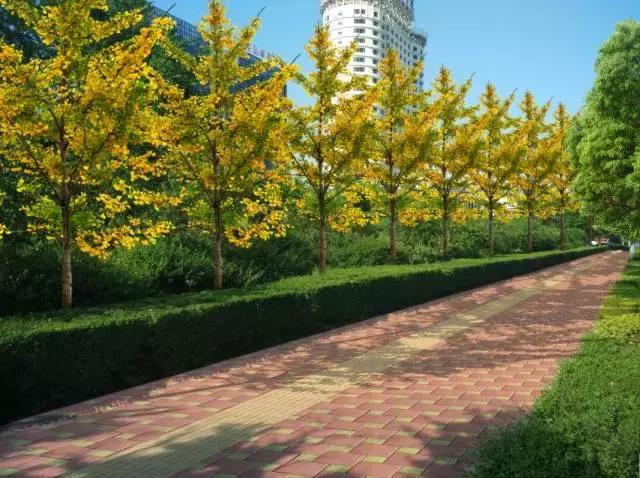 洛阳体育公园最新规划,洛阳华夏体育公园效果图