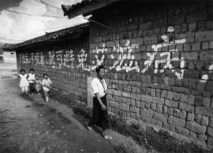 艾滋病和梅毒检测费用,艾滋病检测费用是多少