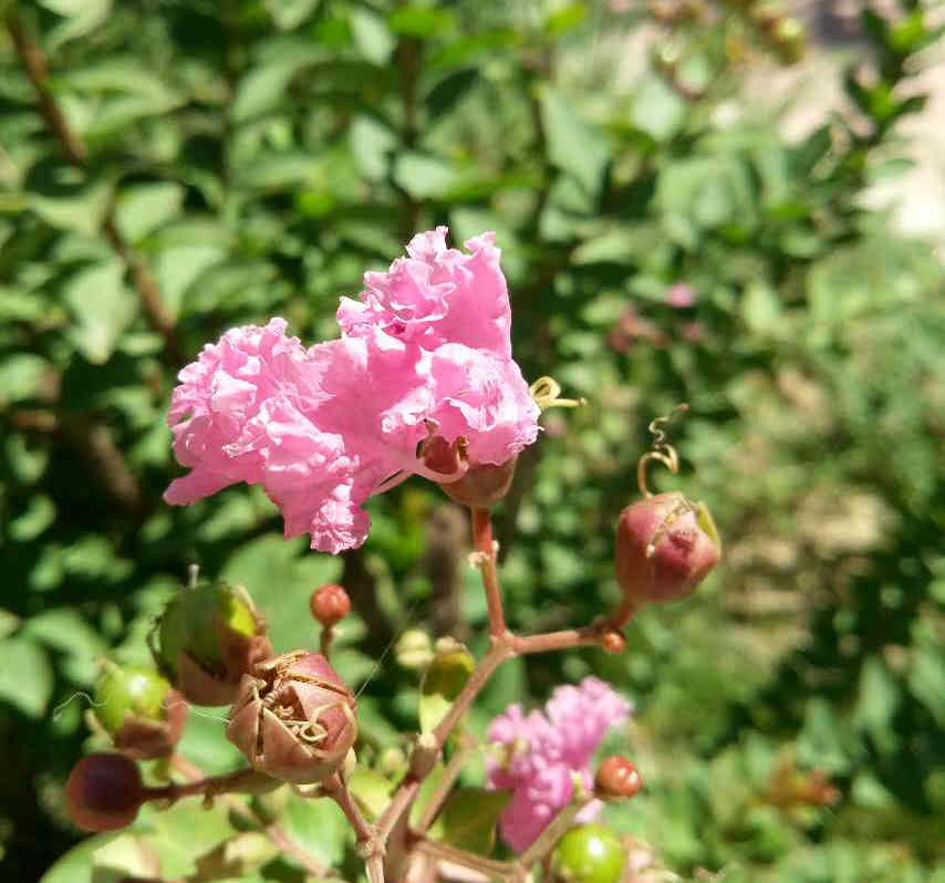 魅蓝e现在的价格是多少,魅蓝e价格多少