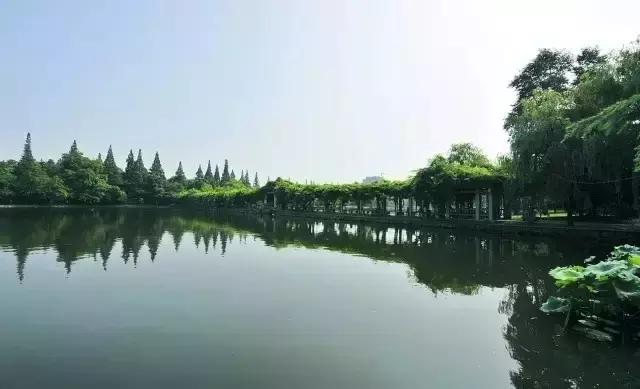 新生攻略大学生视频,新生指南浙师大