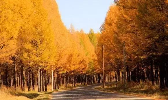 九月秋天美,九月的秋天多美好