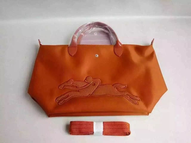 longchamp珑骧饺子包,longchamp饺子包爆款