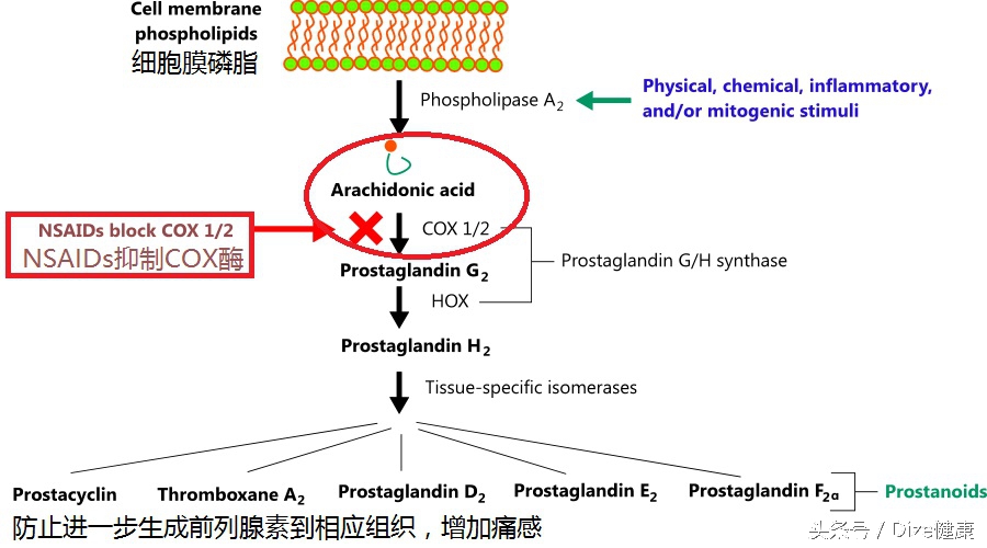 止疼药有忌口吗,止疼药的用药原则