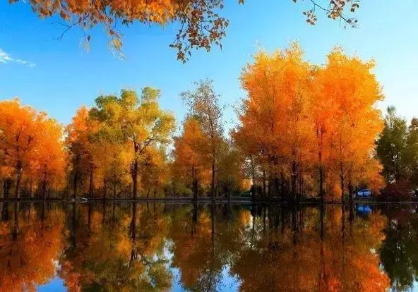 九月秋天美,九月的秋天多美好