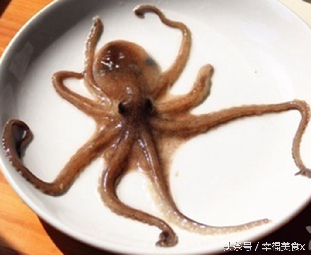 开海后去海边看的第一波海鲜,开海季鲅鱼带鱼