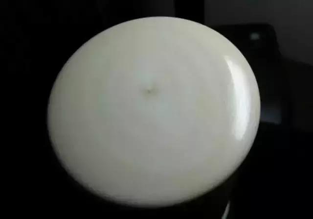 象牙的十大秘密 (象牙的惊人秘密)