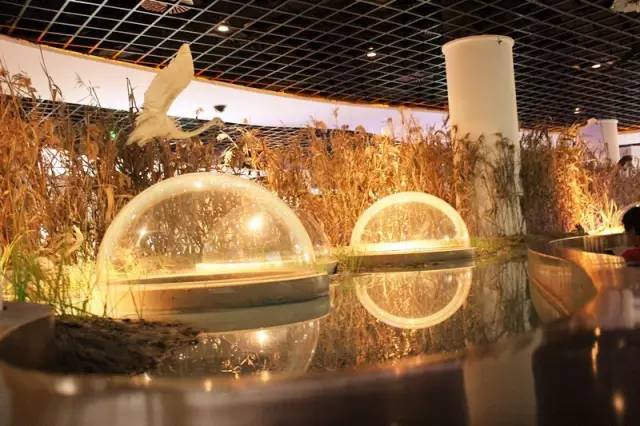 六十多家旅游景点门票半价,这8家景区免费或有优惠