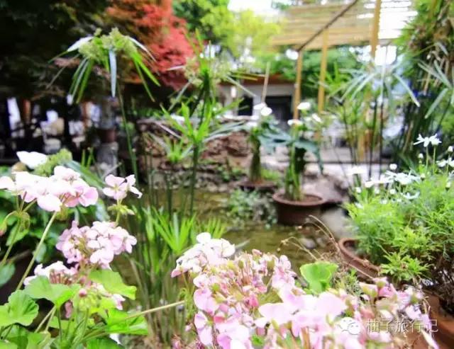 丽江旅行记青旅,丽江古城青旅推荐