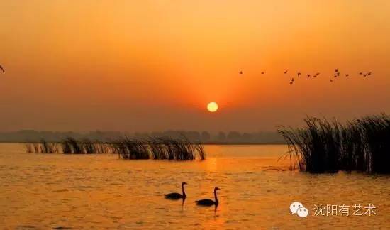 沈阳最刺激的公园,沈阳免门票公园有哪些