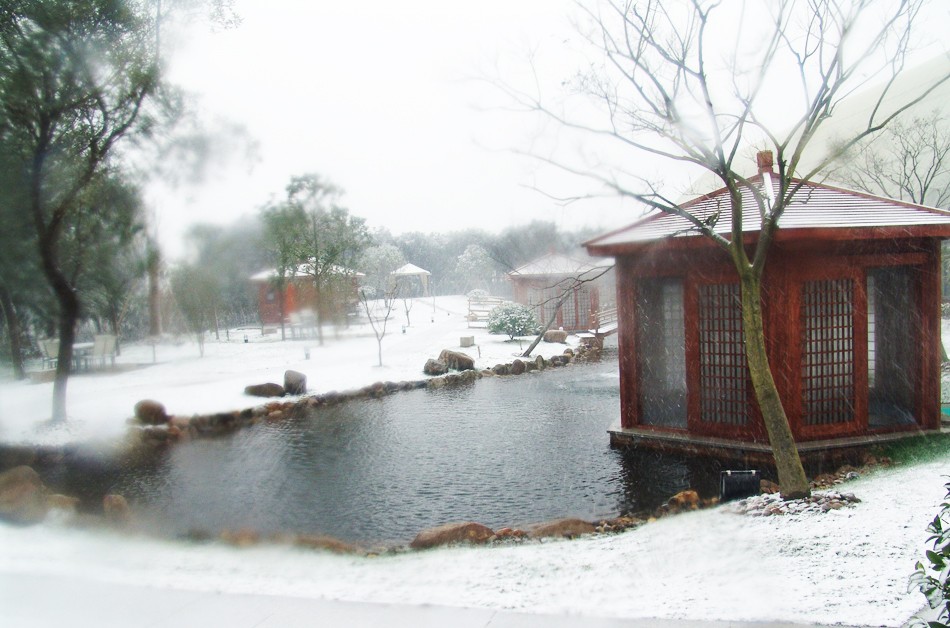 零下9℃的上海，你要怎么过？这20家不同价位的泡汤地来拯救怕冷的你...