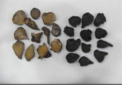 中药知识必学牡蛎,中药知识必学泽兰