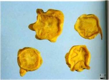 涓嵂榛戦檮瀛愬浣曠厧,涓嵂澶ч檮瀛愮殑鍒悕