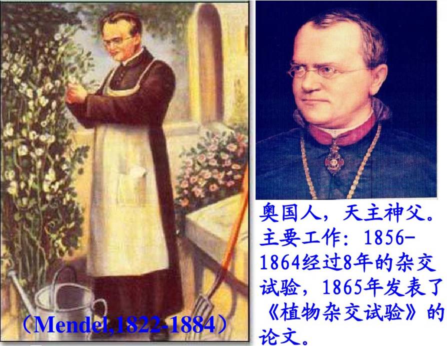 王宝强做亲子鉴定是真的还是假的,王宝强的孩子亲子鉴定是自己的吗