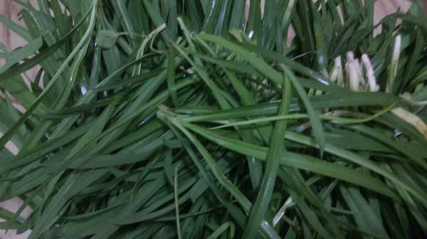 南昆山哪里好玩,惠州龙门南昆山