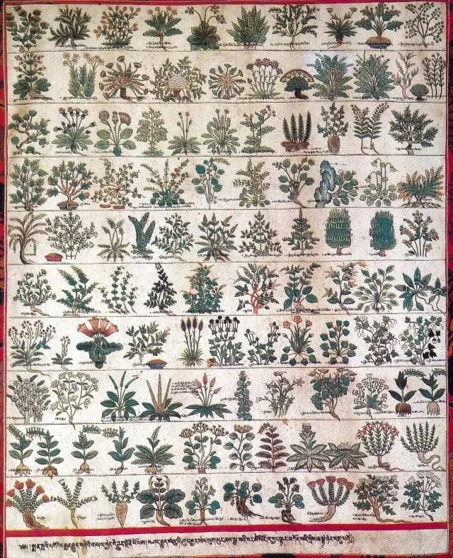 画在唐卡上的医书，令人惊叹！