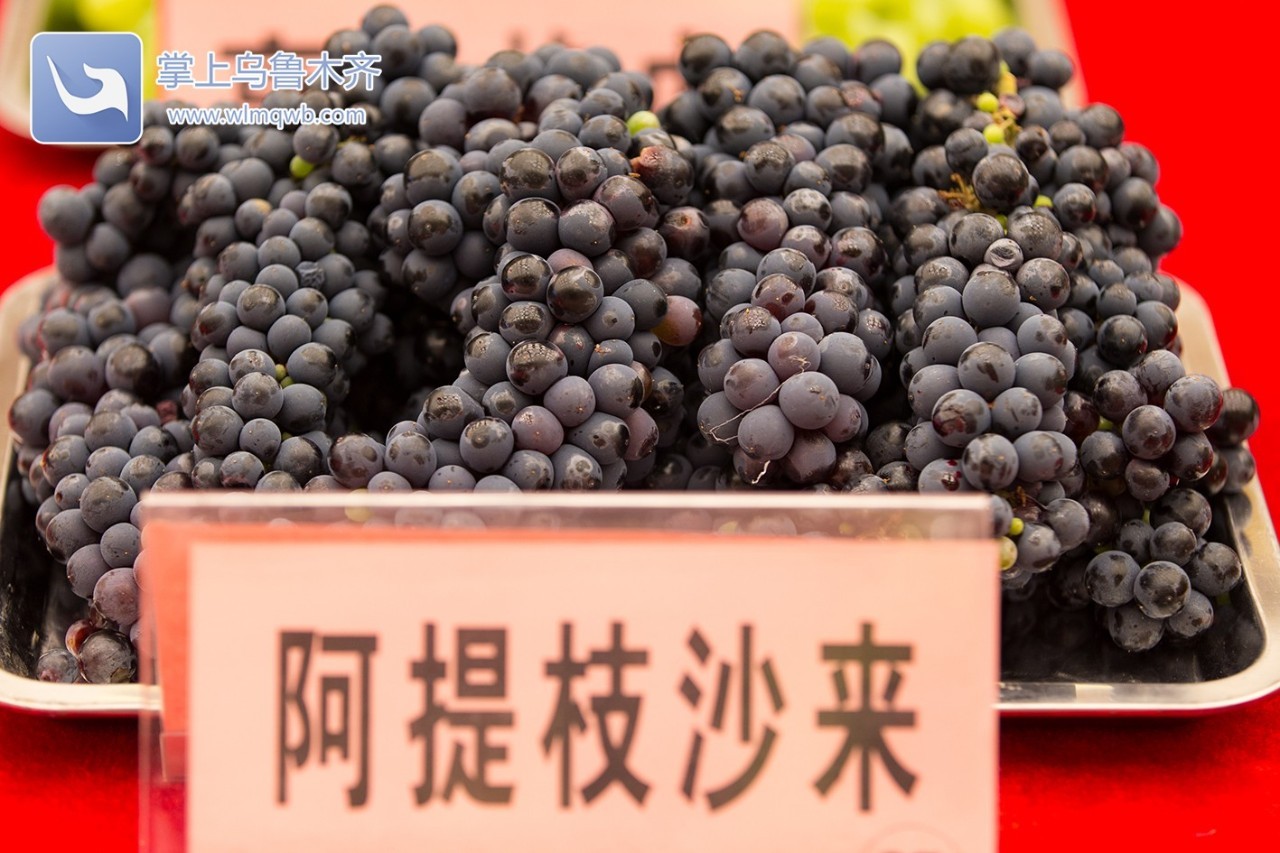 自带花香味的葡萄你吃过吗,吃葡萄不吐葡萄皮的葡萄怎么挑