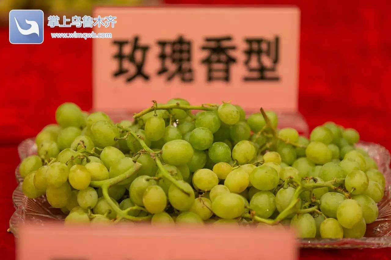 自带花香味的葡萄你吃过吗,吃葡萄不吐葡萄皮的葡萄怎么挑
