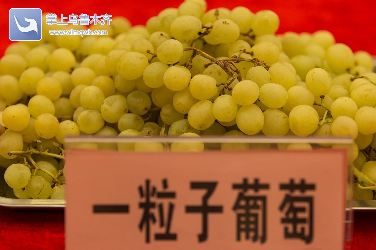 自带花香味的葡萄你吃过吗,吃葡萄不吐葡萄皮的葡萄怎么挑