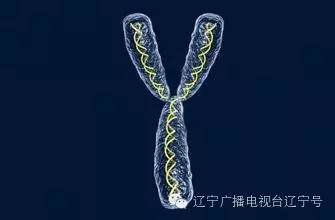 关注白银杀人案:28年对比10万枚指纹只为抓他！