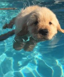 觉得冷穿棉袄的幽默段子,天气冷的段子笑话搞笑版