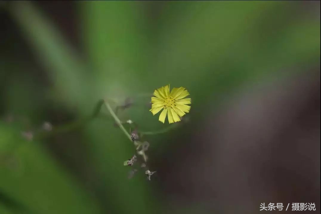 nisi耐司滤镜,nisi耐司滤镜钻石版