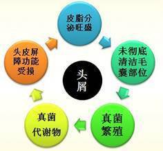 头屑多怎么办去除头屑,头屑怎样彻底去除掉