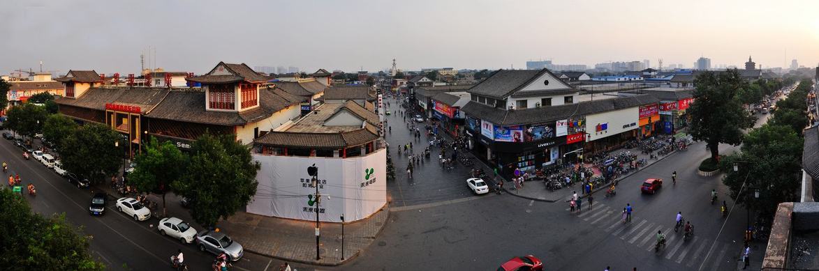 河南千年以上的古树在哪里,安阳十大奇特古树