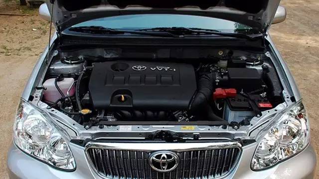 被玩坏的拉皮三件宝,二：花冠