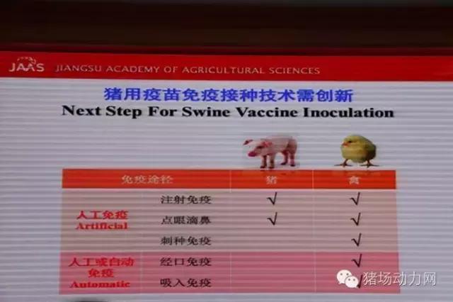 支原体肺炎国家防御方案,支原体肺炎抗病毒