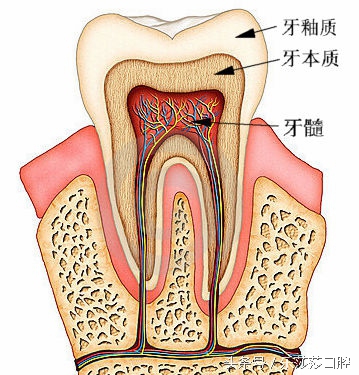 牙疼真要命说法是真的吗,牙疼是身体的什么预兆