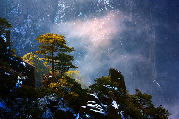 黄山神奇的奇松,黄山之奇险