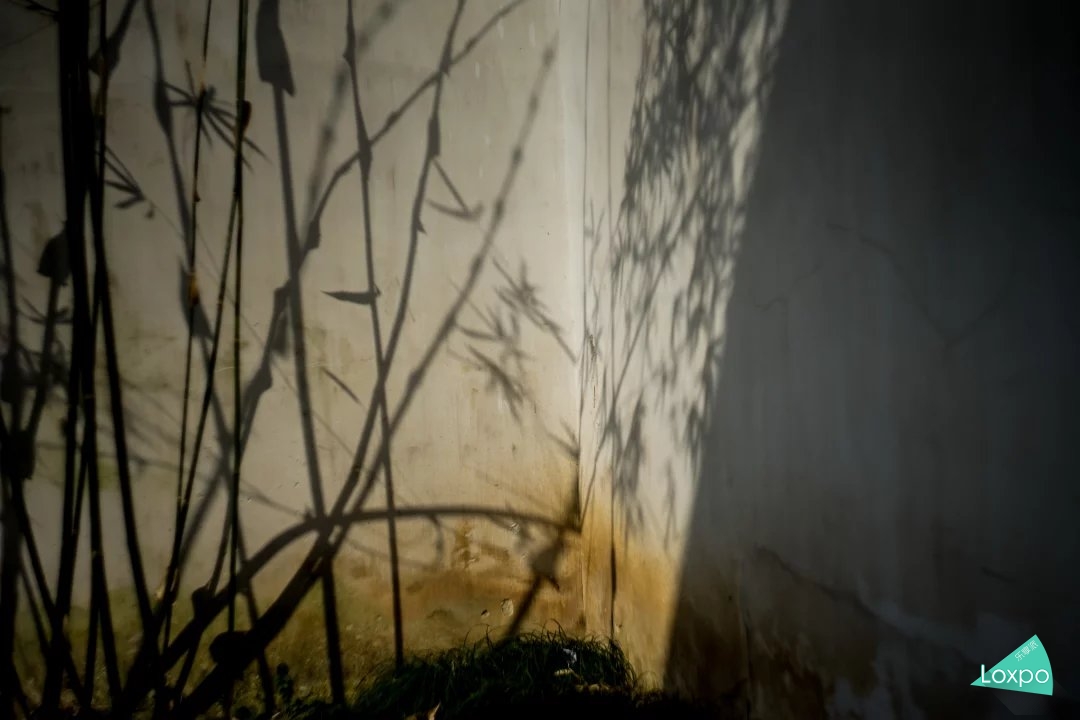 索尼a7详解,无关信仰唯有超越