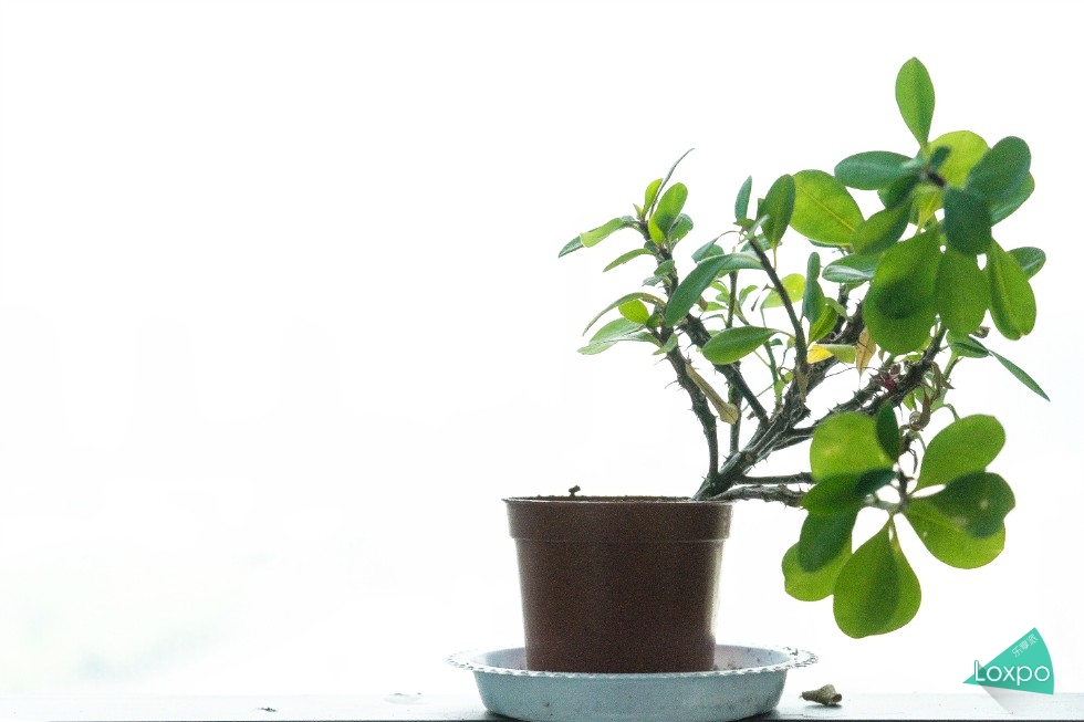 索尼a7详解,无关信仰唯有超越