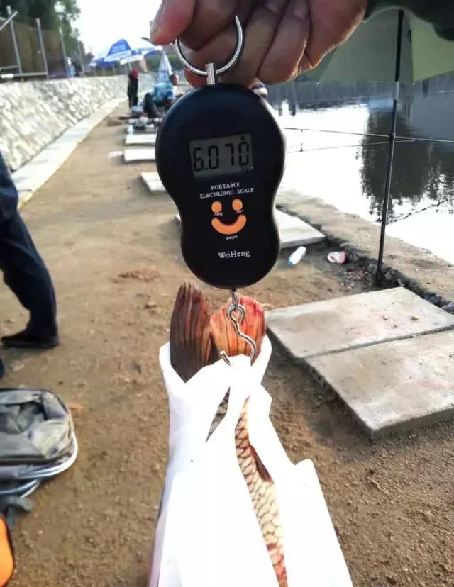 《渔获战报》黑坑之王在此，江湖没有之一