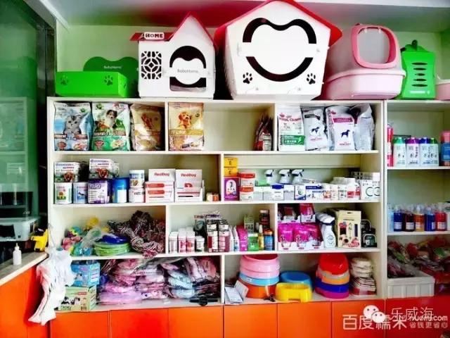 威海最全的宠物店汇总!喵奴汪主人还不速速收藏!