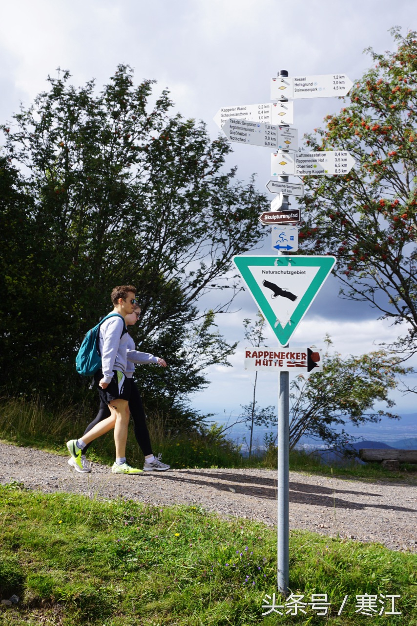 踩到黑森林的泉水，就能娶到弗莱堡的漂亮妞儿！