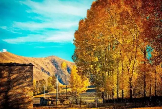 到底是去西藏还是去川西,西藏与川西这辈子总要来一趟吧