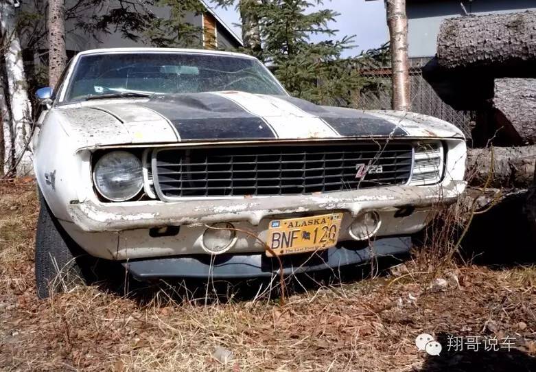 大黄蜂科迈罗最经典款,大黄蜂科迈罗每一代的变化