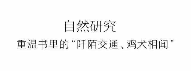 凤凰岛把公园还给你,你还欠自己一次隐居