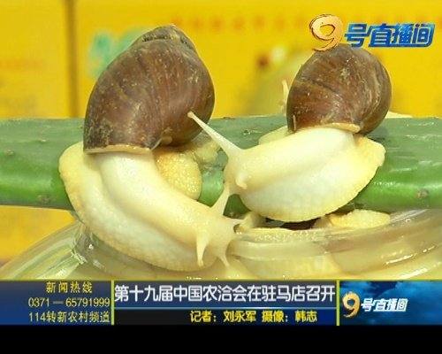 缁胯壊鍏变韩鑿滃洯,缁胯壊鍐滃満鍏变韩鑿滃洯