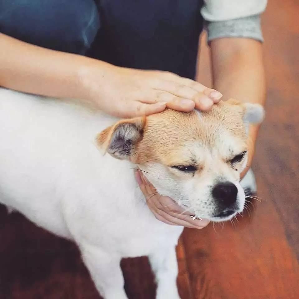 这位帅哥开着民宿却不好好做生意天南海北收藏好物分享给游客