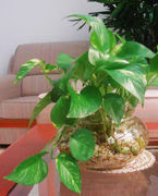 怎样知道自己家的财位在哪个位置,如何确定家里的财位在哪个位置