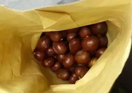 金味栗子,金味栗子几月开始卖