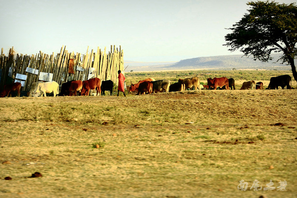 爱玩漂浮的马赛人