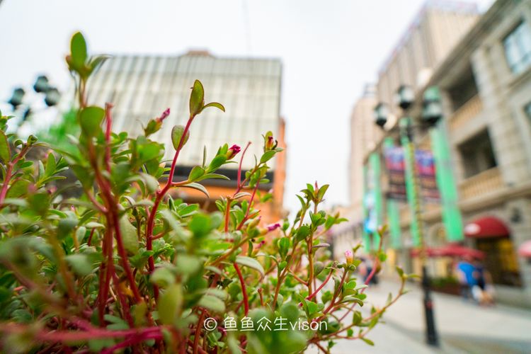 全世界最长的仿古步行街,世界第一长步行街在哪里